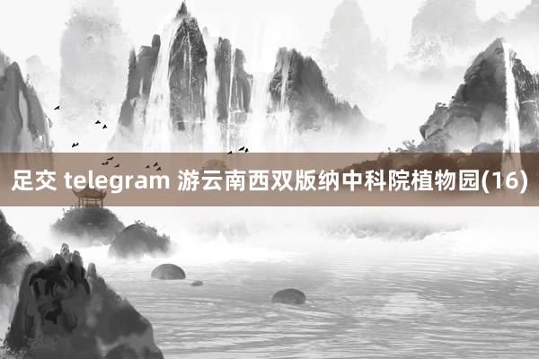 足交 telegram 游云南西双版纳中科院植物园(16)