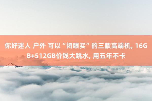 你好迷人 户外 可以“闭眼买”的三款高端机， 16GB+512GB价钱大跳水， 用五年不卡