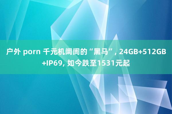 户外 porn 千元机阛阓的“黑马”， 24GB+512GB+IP69， 如今跌至1531元起