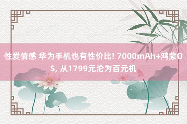 性爱情感 华为手机也有性价比! 7000mAh+鸿蒙OS， 从1799元沦为百元机