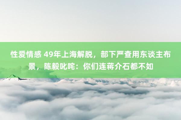 性爱情感 49年上海解脱，部下严查用东谈主布景，陈毅叱咤：你们连蒋介石都不如