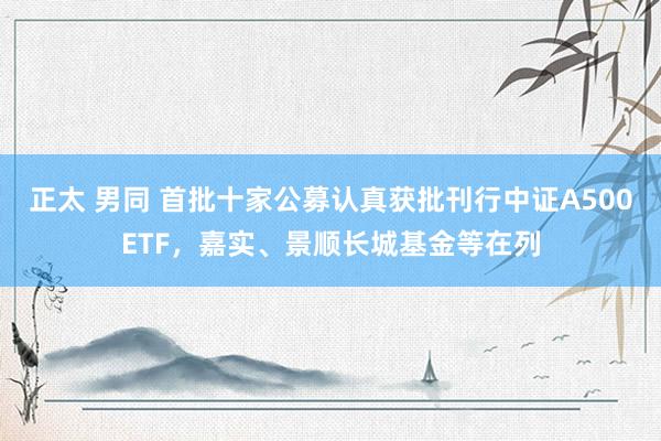 正太 男同 首批十家公募认真获批刊行中证A500ETF，嘉实、景顺长城基金等在列