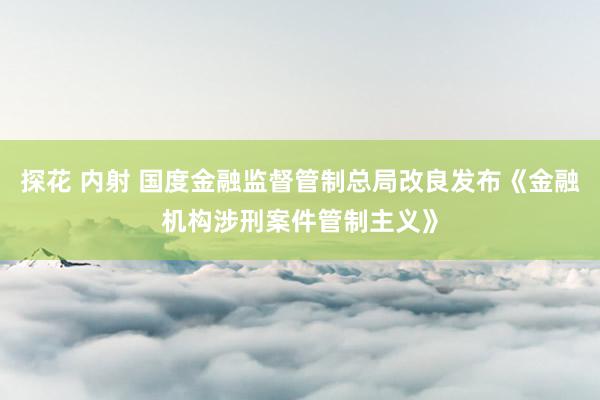 探花 内射 国度金融监督管制总局改良发布《金融机构涉刑案件管制主义》