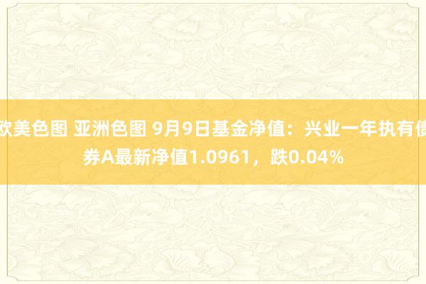 欧美色图 亚洲色图 9月9日基金净值：兴业一年执有债券A最新净值1.0961，跌0.04%