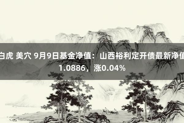 白虎 美穴 9月9日基金净值：山西裕利定开债最新净值1.0886，涨0.04%