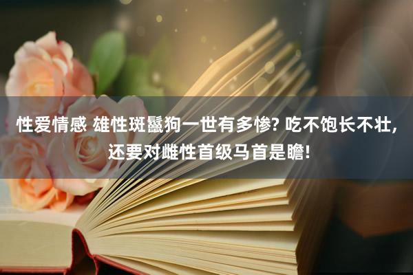 性爱情感 雄性斑鬣狗一世有多惨? 吃不饱长不壮， 还要对雌性首级马首是瞻!