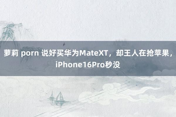 萝莉 porn 说好买华为MateXT，却王人在抢苹果，iPhone16Pro秒没