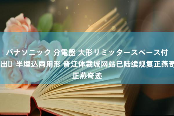 パナソニック 分電盤 大形リミッタースペース付 露出・半埋込両用形 晋江体裁城网站已陆续规复正燕奇迹