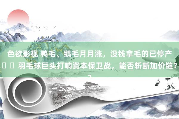 色欲影视 鸭毛、鹅毛月月涨，没钱拿毛的已停产⋯⋯羽毛球巨头打响资本保卫战，能否斩断加价链？