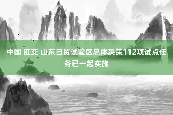 中国 肛交 山东自贸试验区总体决策112项试点任务已一起实施