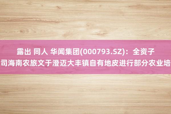 露出 同人 华闻集团(000793.SZ)：全资子公司海南农旅文于澄迈大丰镇自有地皮进行部分农业培植