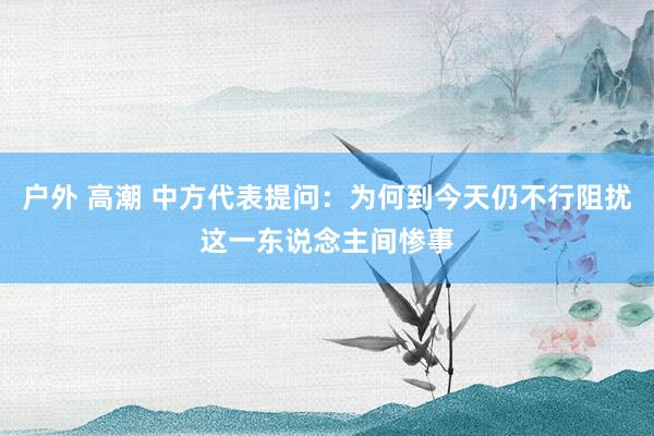 户外 高潮 中方代表提问：为何到今天仍不行阻扰这一东说念主间惨事