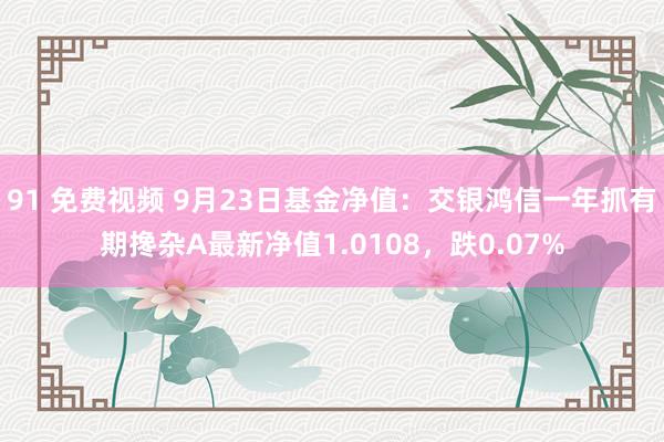 91 免费视频 9月23日基金净值：交银鸿信一年抓有期搀杂A最新净值1.0108，跌0.07%