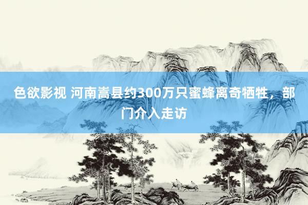 色欲影视 河南嵩县约300万只蜜蜂离奇牺牲，部门介入走访