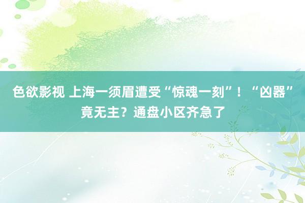 色欲影视 上海一须眉遭受“惊魂一刻”！“凶器”竟无主？通盘小区齐急了