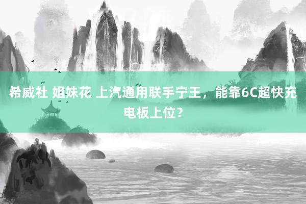 希威社 姐妹花 上汽通用联手宁王，能靠6C超快充电板上位？