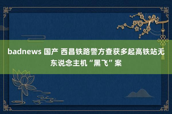 badnews 国产 西昌铁路警方查获多起高铁站无东说念主机“黑飞”案