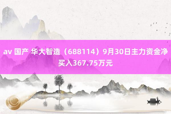 av 国产 华大智造（688114）9月30日主力资金净买入367.75万元