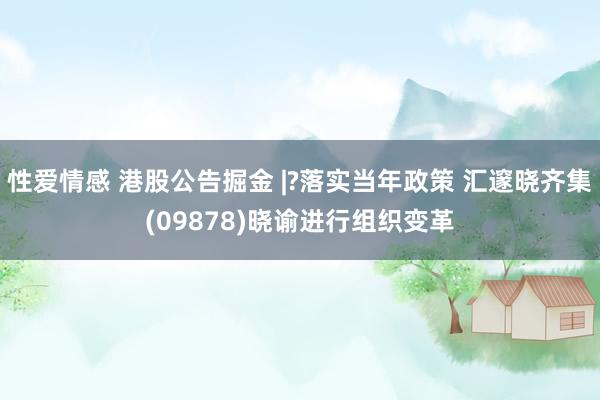 性爱情感 港股公告掘金 |?落实当年政策 汇邃晓齐集(09878)晓谕进行组织变革