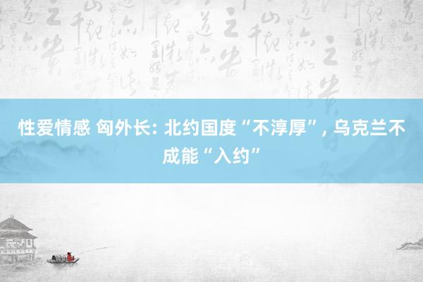 性爱情感 匈外长: 北约国度“不淳厚”， 乌克兰不成能“入约”