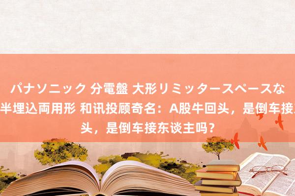 パナソニック 分電盤 大形リミッタースペースなし 露出・半埋込両用形 和讯投顾奇名：A股牛回头，是倒车接东谈主吗？