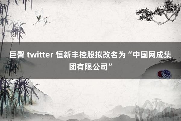 巨臀 twitter 恒新丰控股拟改名为“中国网成集团有限公司”