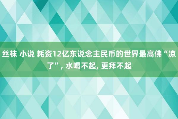 丝袜 小说 耗资12亿东说念主民币的世界最高佛“凉了”， 水喝不起， 更拜不起