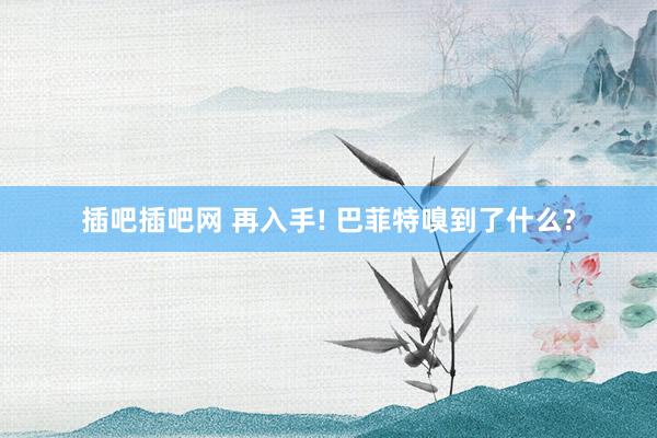 插吧插吧网 再入手! 巴菲特嗅到了什么?