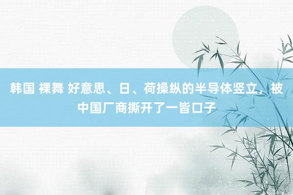 韩国 裸舞 好意思、日、荷操纵的半导体竖立，被中国厂商撕开了一皆口子