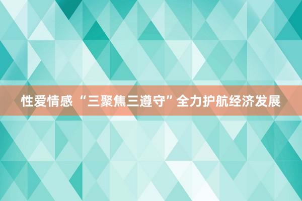 性爱情感 “三聚焦三遵守”全力护航经济发展