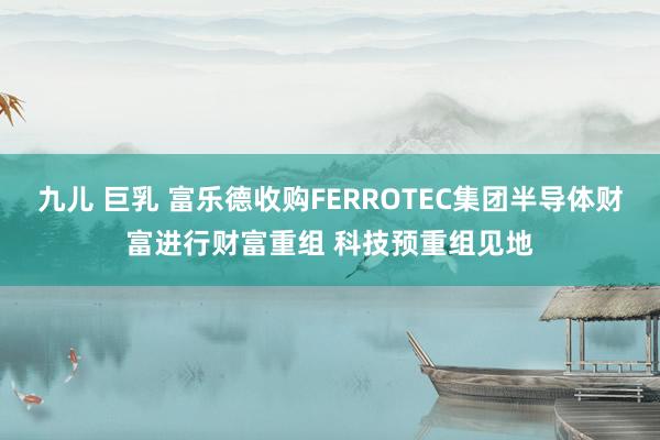 九儿 巨乳 富乐德收购FERROTEC集团半导体财富进行财富重组 科技预重组见地