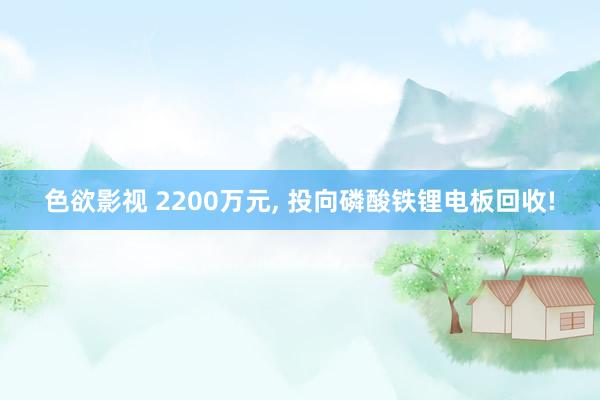 色欲影视 2200万元， 投向磷酸铁锂电板回收!