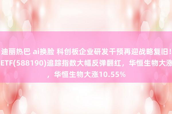 迪丽热巴 ai换脸 科创板企业研发干预再迎战略复旧！科创100ETF(588190)追踪指数大幅反弹翻红，华恒生物大涨10.55%