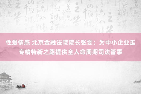 性爱情感 北京金融法院院长张雯：为中小企业走专精特新之路提供全人命周期司法管事