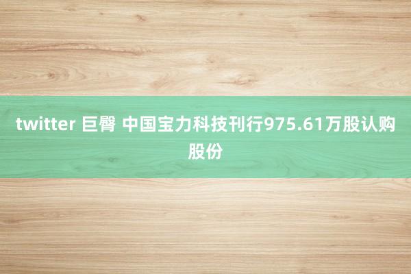 twitter 巨臀 中国宝力科技刊行975.61万股认购股份