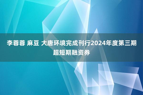 李蓉蓉 麻豆 大唐环境完成刊行2024年度第三期超短期融资券