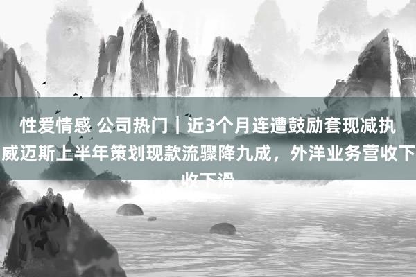 性爱情感 公司热门｜近3个月连遭鼓励套现减执！威迈斯上半年策划现款流骤降九成，外洋业务营收下滑