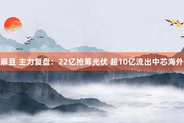 麻豆 主力复盘：22亿抢筹光伏 超10亿流出中芯海外