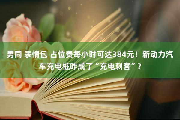 男同 表情包 占位费每小时可达384元！新动力汽车充电桩咋成了“充电刺客”？