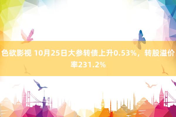 色欲影视 10月25日大参转债上升0.53%，转股溢价率231.2%