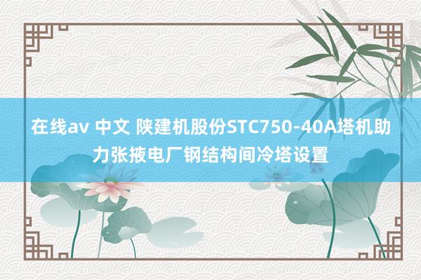 在线av 中文 陕建机股份STC750-40A塔机助力张掖电厂钢结构间冷塔设置