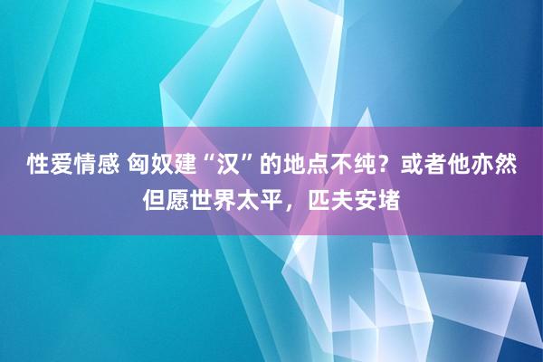 性爱情感 匈奴建“汉”的地点不纯？或者他亦然但愿世界太平，匹夫安堵