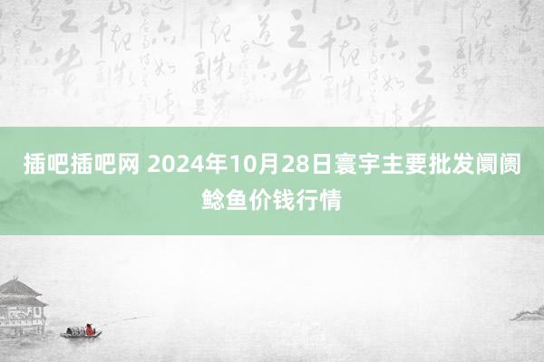 插吧插吧网 2024年10月28日寰宇主要批发阛阓鲶鱼价钱行情