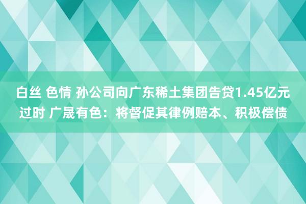 白丝 色情 孙公司向广东稀土集团告贷1.45亿元过时 广晟有色：将督促其律例赔本、积极偿债