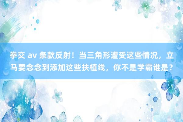 拳交 av 条款反射！当三角形遭受这些情况，立马要念念到添加这些扶植线，你不是学霸谁是？