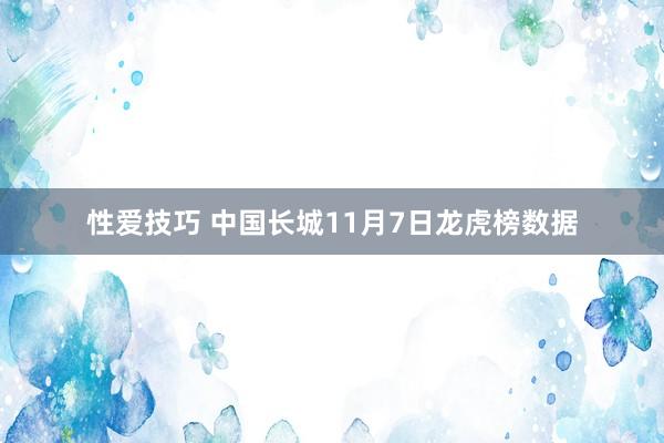 性爱技巧 中国长城11月7日龙虎榜数据