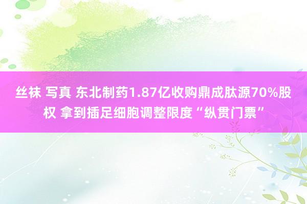 丝袜 写真 东北制药1.87亿收购鼎成肽源70%股权 拿到插足细胞调整限度“纵贯门票”