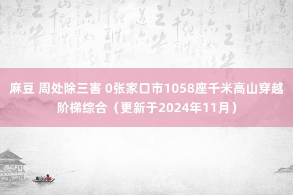 麻豆 周处除三害 0张家口市1058座千米高山穿越阶梯综合（更新于2024年11月）