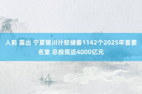 人前 露出 宁夏银川计较储备1142个2025年首要名堂 总投资近4000亿元