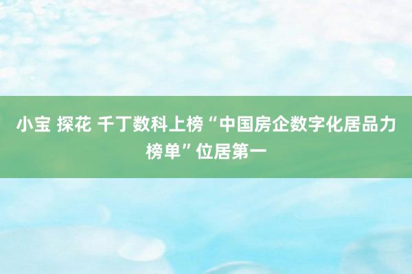 小宝 探花 千丁数科上榜“中国房企数字化居品力榜单”位居第一